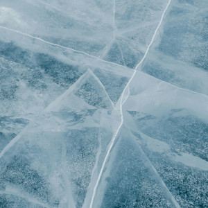 pexels-julia-volk-7099647